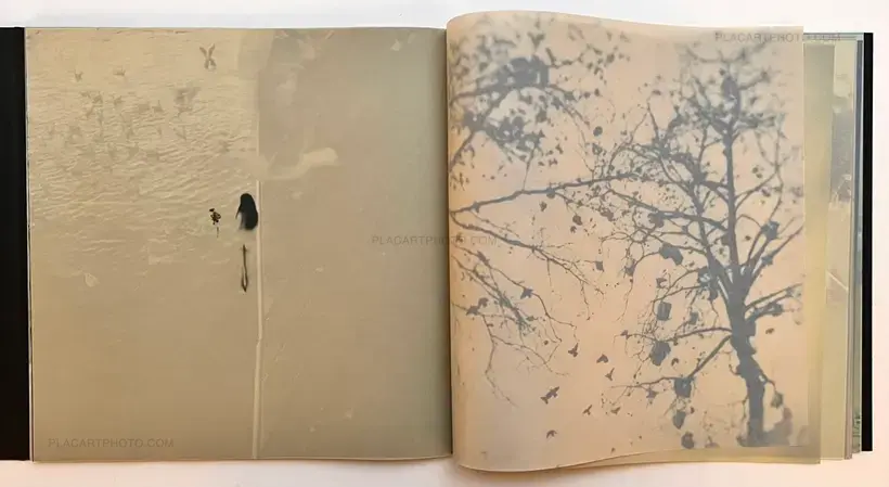 and, do you still hear the peacocks?