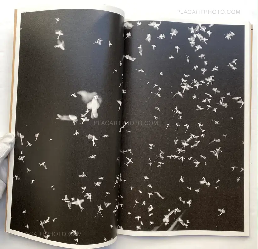 SACRE (SPECIAL EDT OF 22 COPIES WITH PRINT)