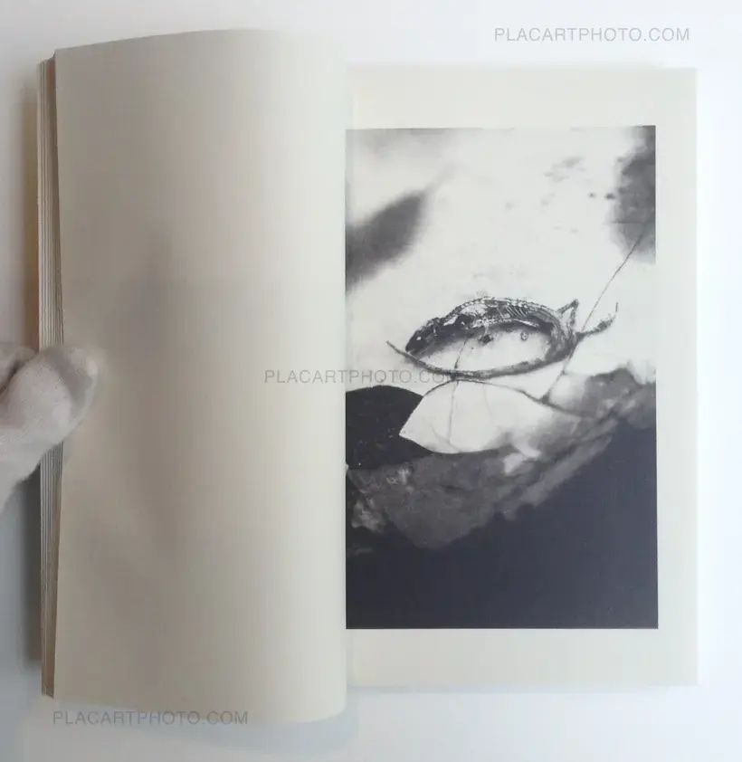 Laying Stones (Signed)