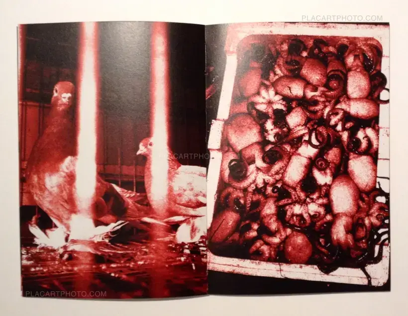 7 days Athens November 2011