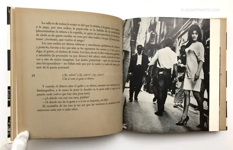 Izas, Rabizas y colipoterras (First edition)