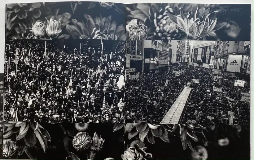 VOICE HONG KONG 2019