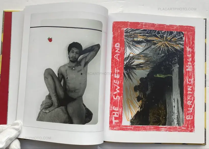 Eye For A Sty, Tooth For The Roof (Signed)