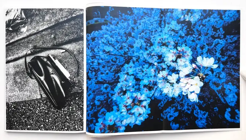 Naomi (Signed and numbered)