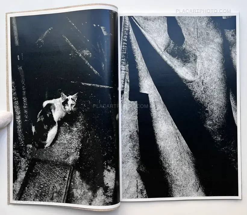 Hiroko (Signed and numbered)