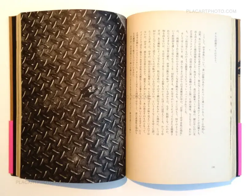 Memories of a dog - Final Chapter