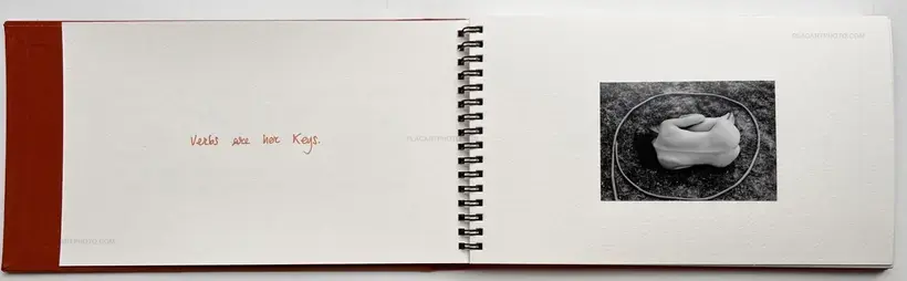 Wet Clay (Signed and numbered)