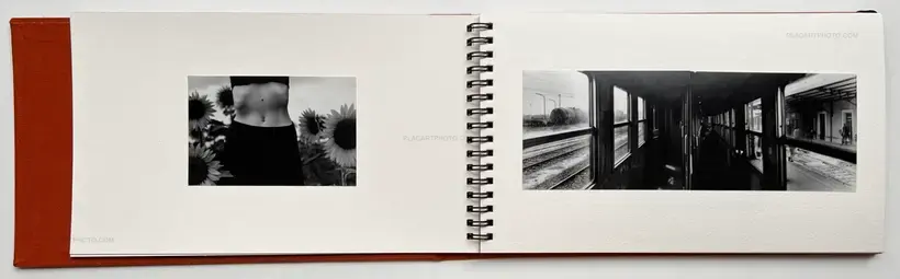 Wet Clay (Signed and numbered)