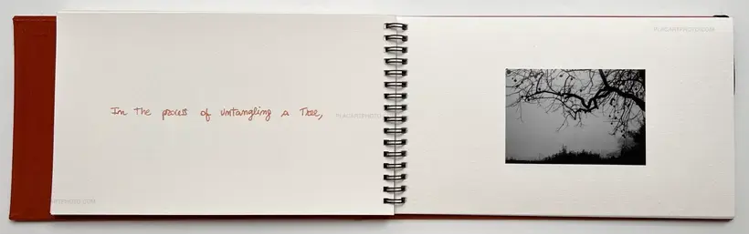 Wet Clay (Signed and numbered)