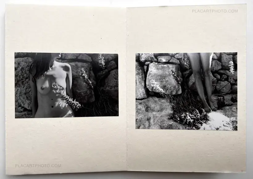 Vanitas (Signed and numbered of 100)