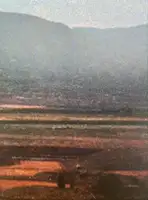 Pretend You're Actually Alive (SIGNED)