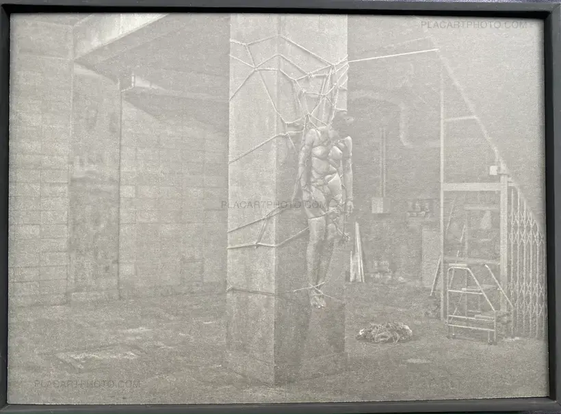 “䷚” Swallowing (with silver gelatin print)