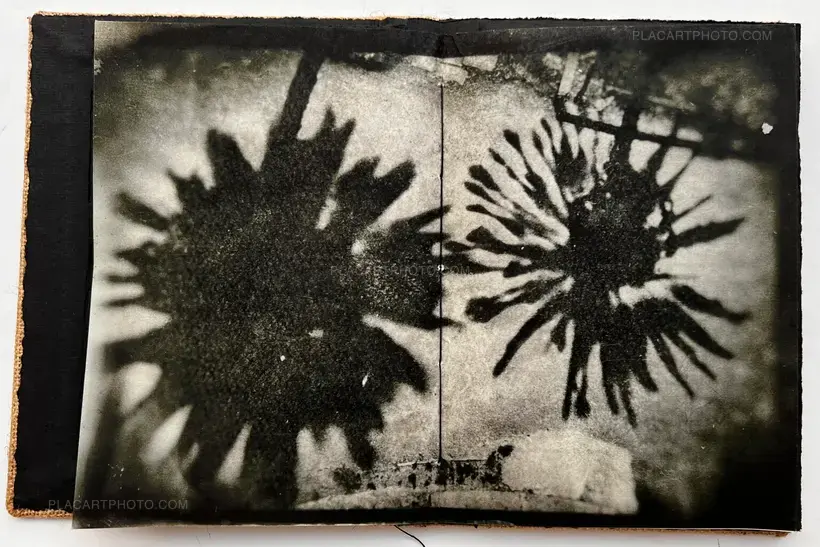 ERNA HELENA ANIA (Art edition of 45)