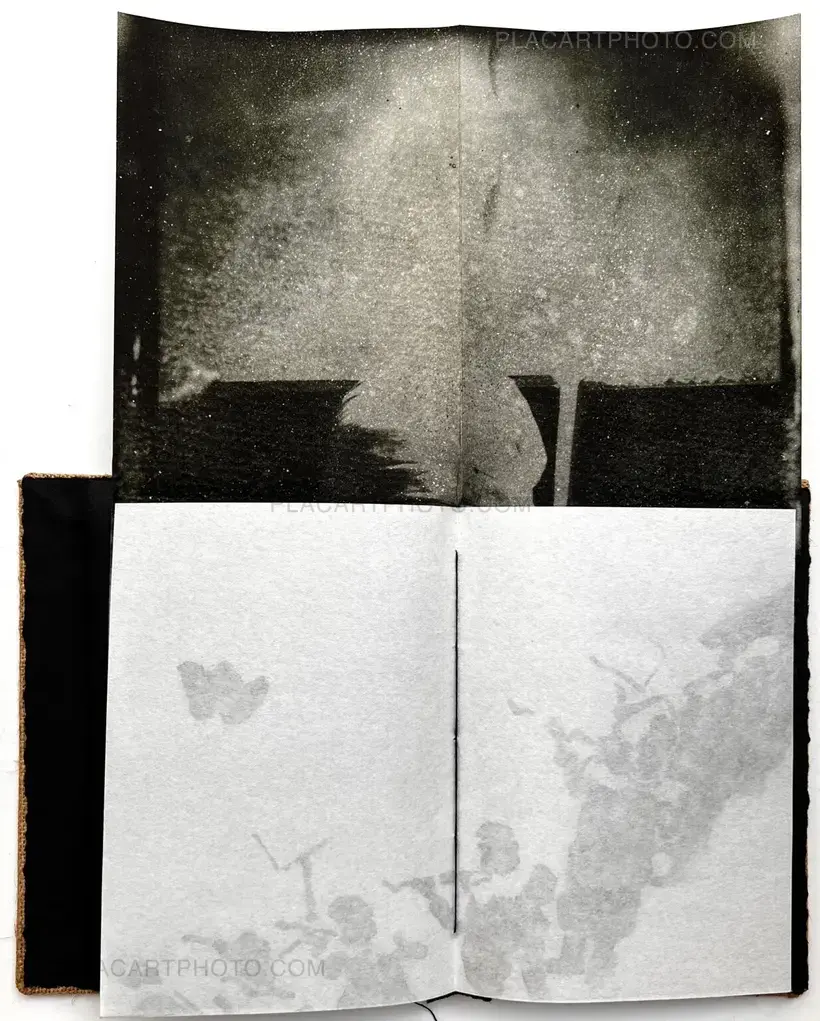 ERNA HELENA ANIA (Art edition of 45)