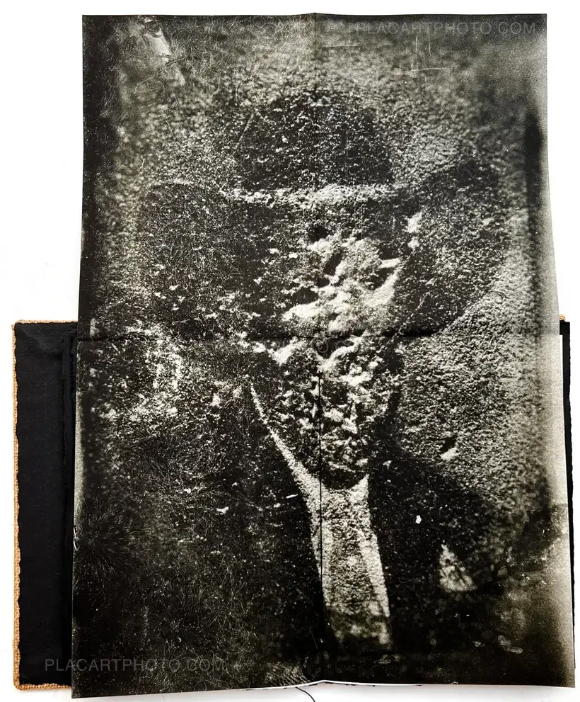 ERNA HELENA ANIA (Art edition of 45)