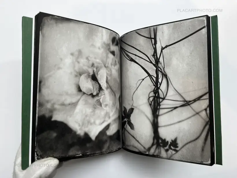 Jardin (EDT OF 5 COPIES)