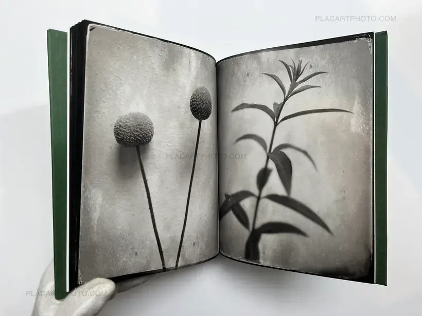 Jardin (EDT OF 5 COPIES)