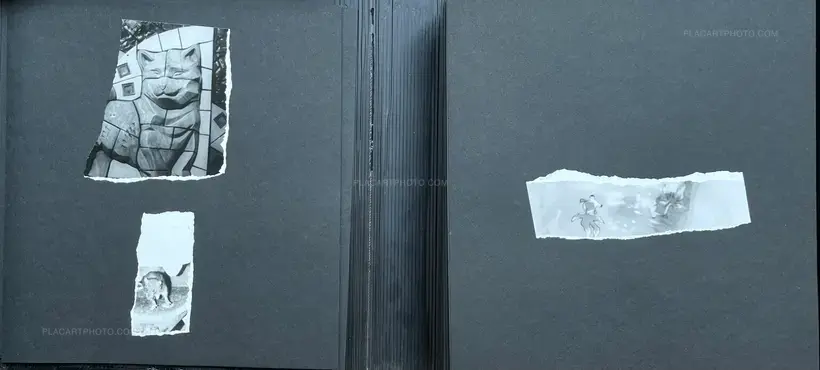 2019 (unique, signed copy)