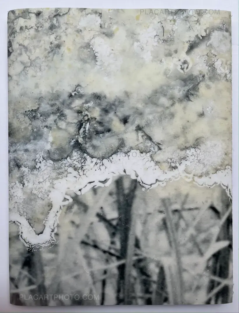 El juego de la madalena (signed)