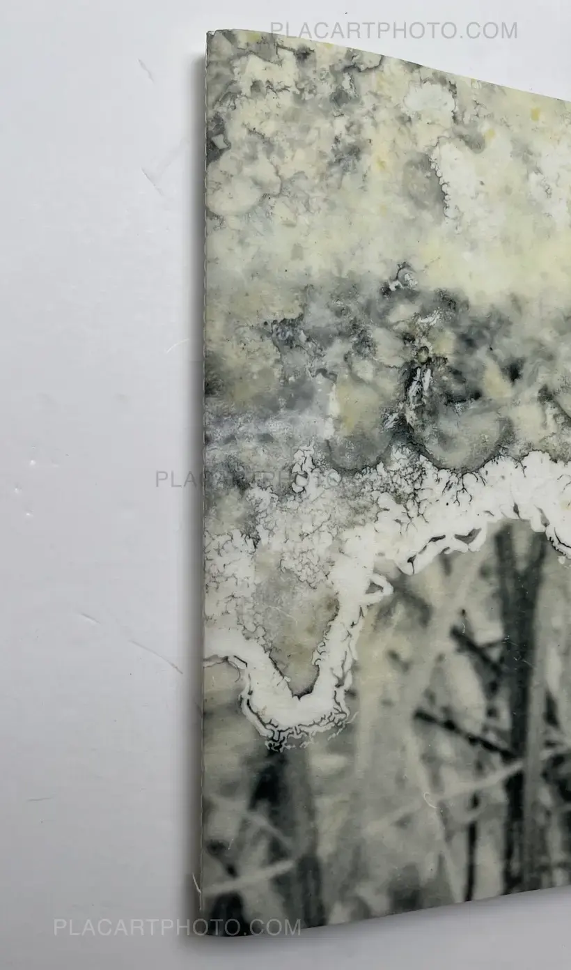 El juego de la madalena (signed)