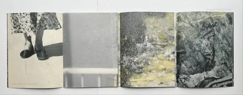 El juego de la madalena (signed)