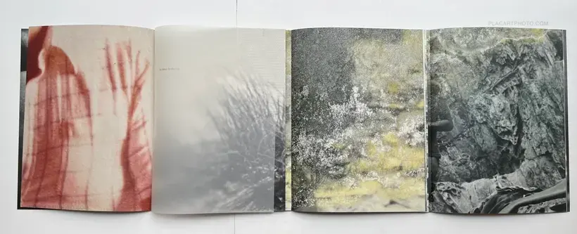 El juego de la madalena (signed)