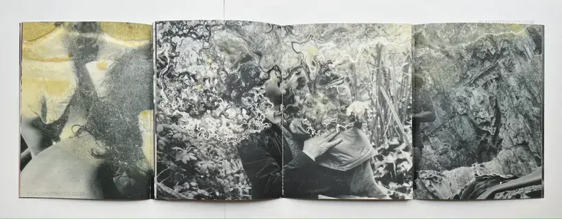 El juego de la madalena (signed)