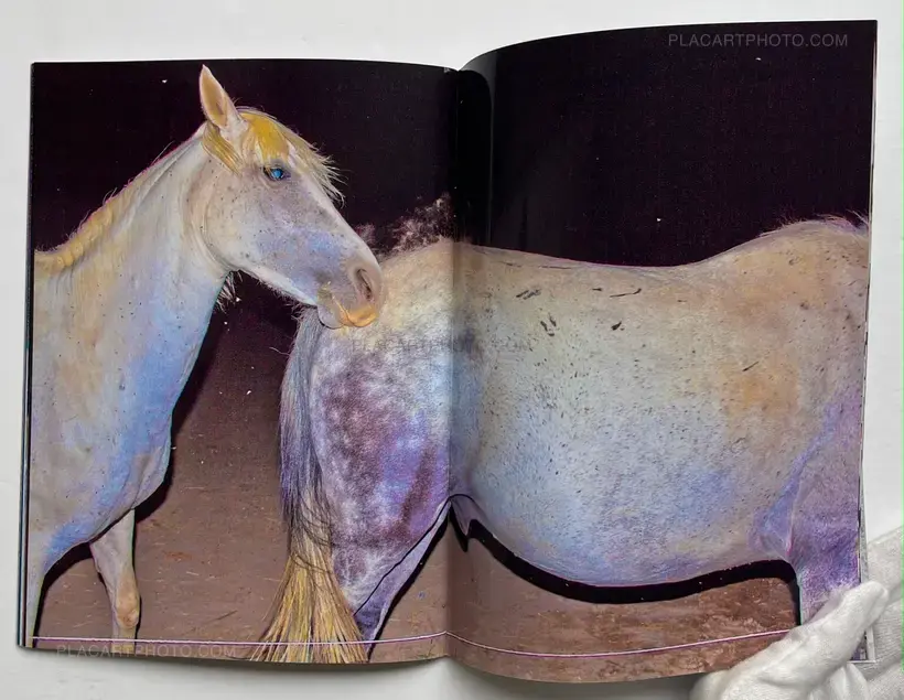 Nuit Blanche (Signed)