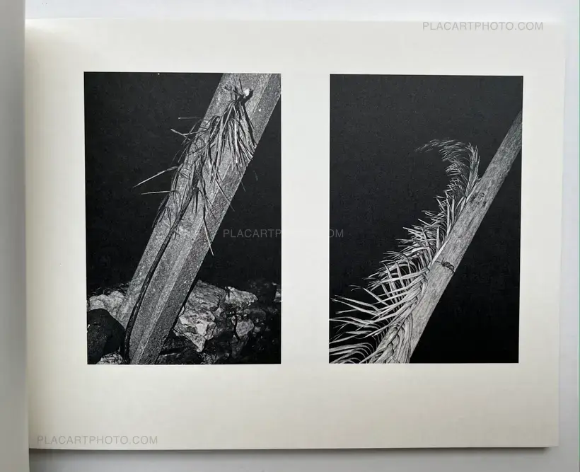 Awaken/Nekawa (Signed)