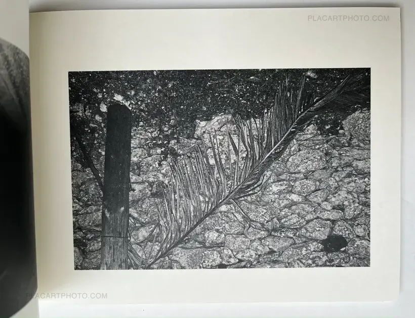 Awaken/Nekawa (Signed)