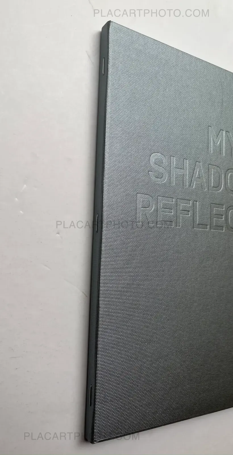 My Shadow's Reflection