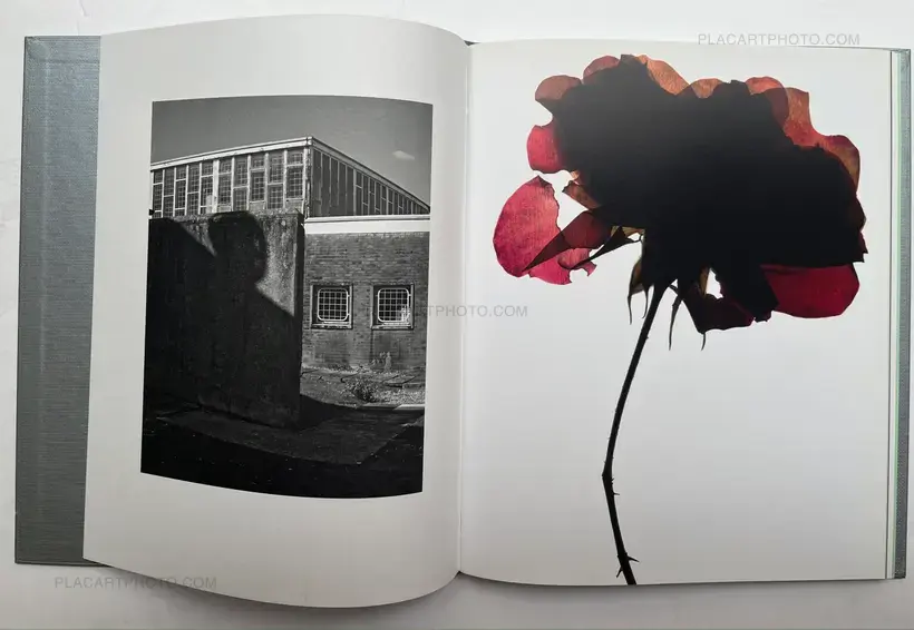 My Shadow's Reflection