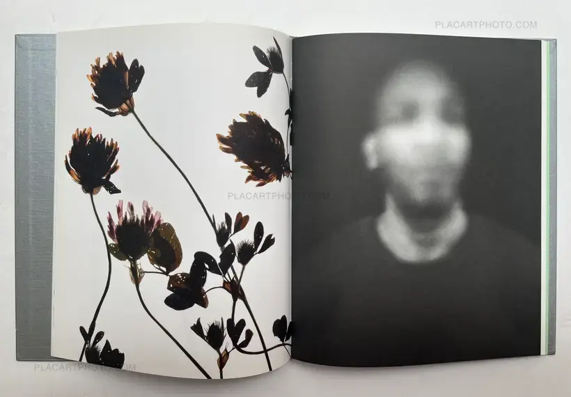 My Shadow's Reflection