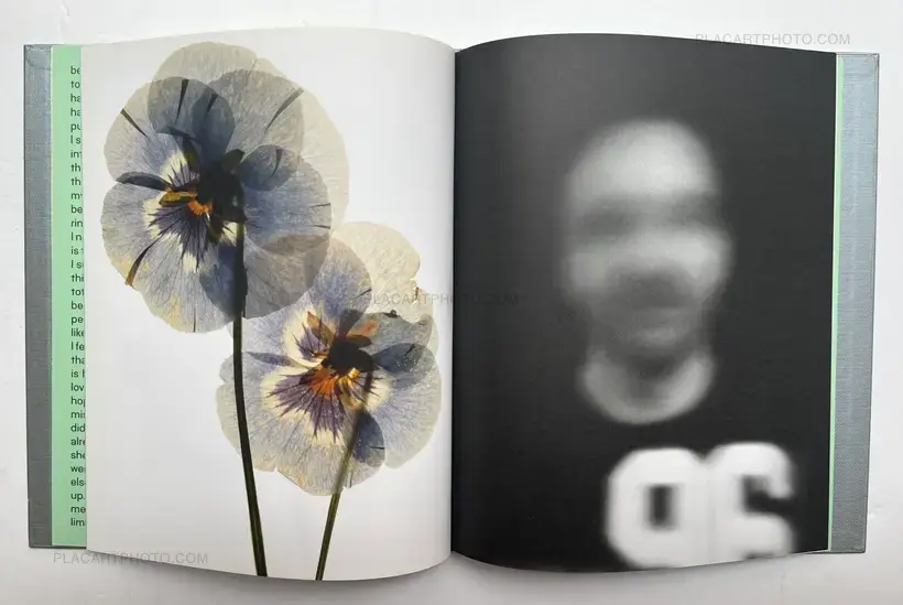 My Shadow's Reflection