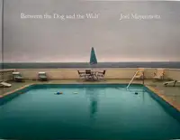 Between the Dog and the Wolf