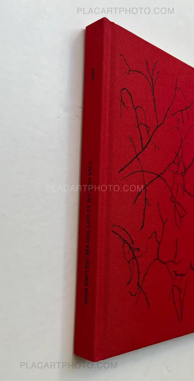 Your arms are so soft they are like lamb wool (Signed)