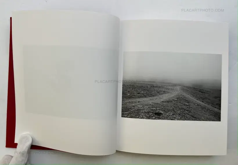 Your arms are so soft they are like lamb wool (Signed)