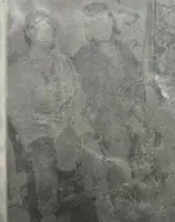 Redheaded Peckerwood