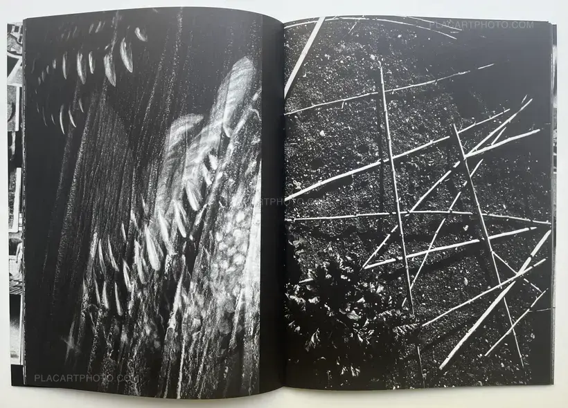 Dear Diary (Signed and numbered, edt of 350)