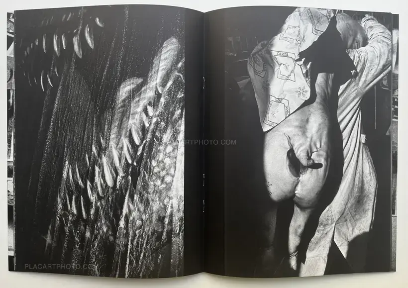 Dear Diary (Signed and numbered, edt of 350)