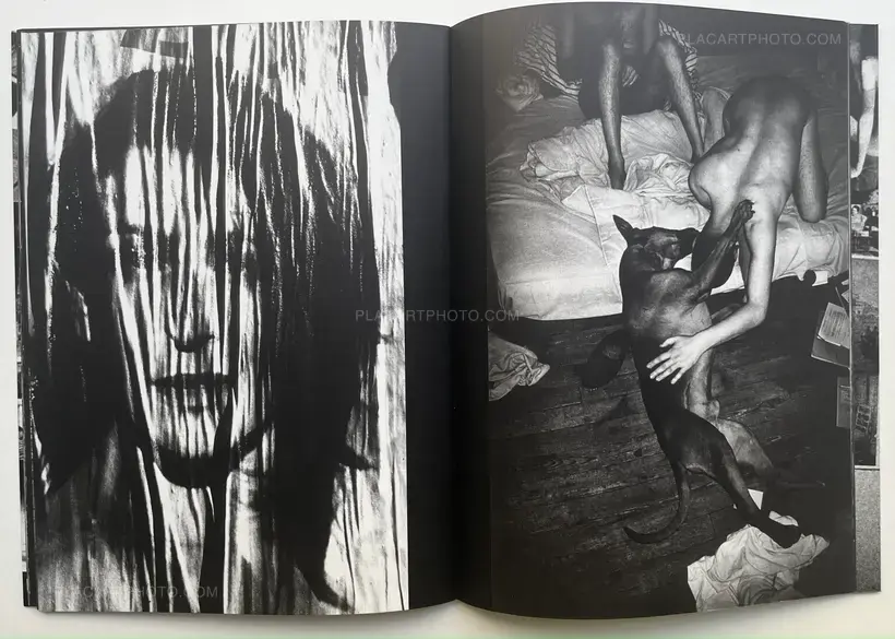 Dear Diary (Signed and numbered, edt of 350)