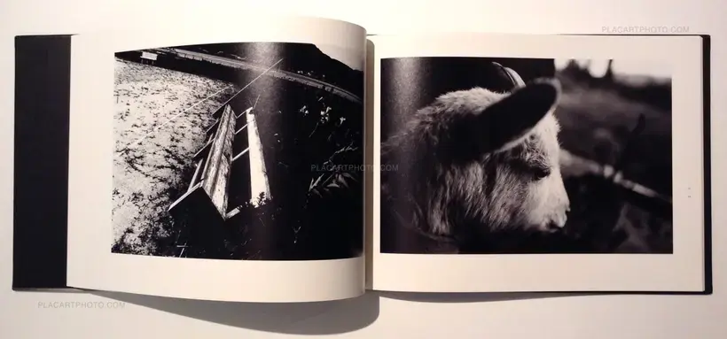 Shimagatari (Signed)