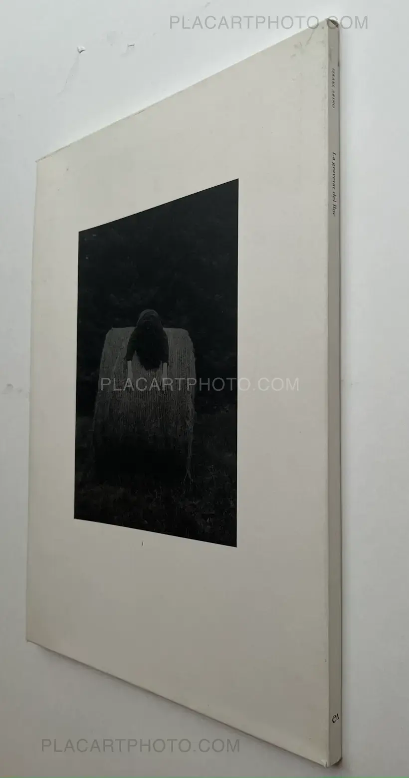 La gravetat del lloc (first edt)