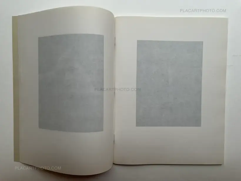 La gravetat del lloc (first edt)