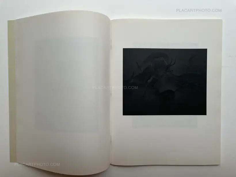 La gravetat del lloc (first edt)