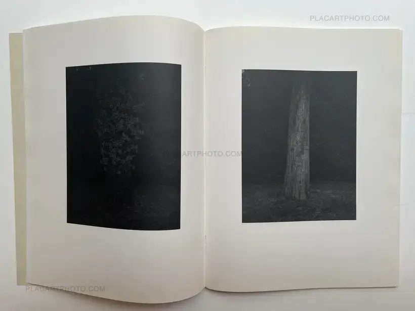 La gravetat del lloc (first edt)