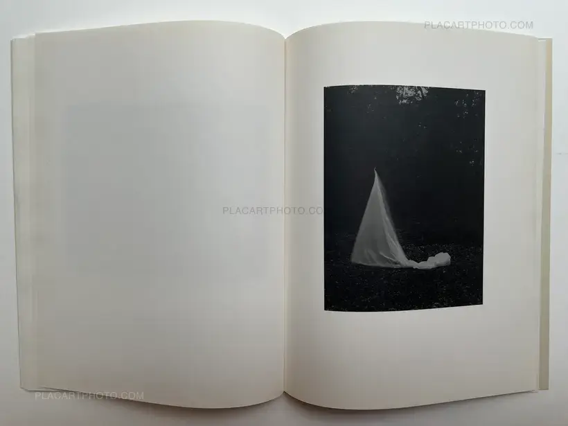 La gravetat del lloc (first edt)