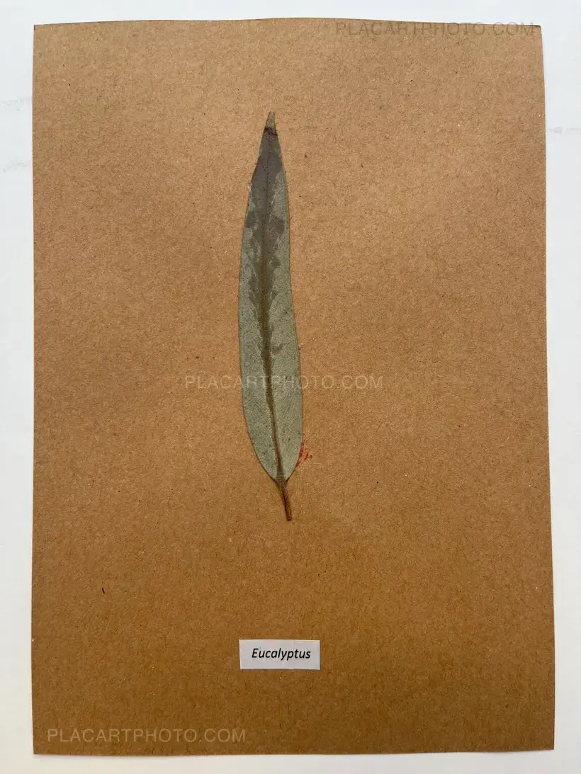 The Naming of a River