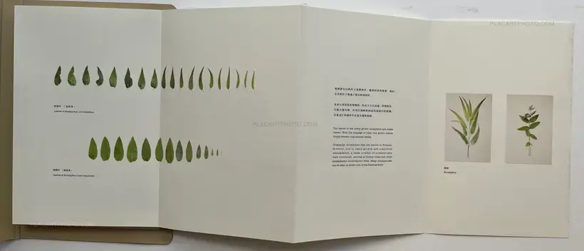 The Naming of a River