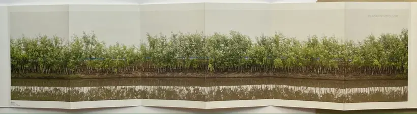 The Naming of a River